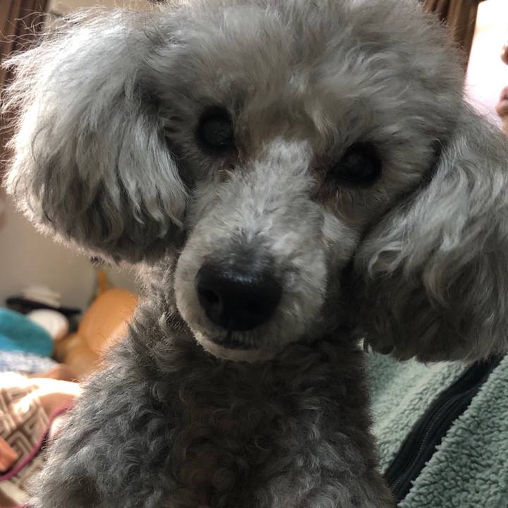 0dbb7617 243d 41ad 990c 2fae9e5aa384 1548205588036