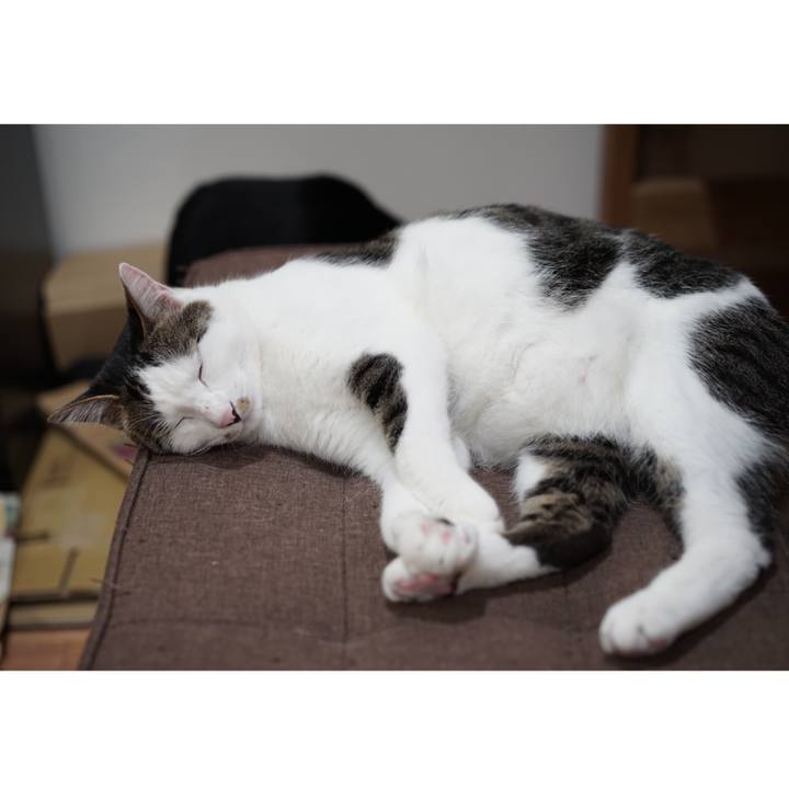 0dbb791a 809f 495a 8154 5c2191de28d0 1557877132735