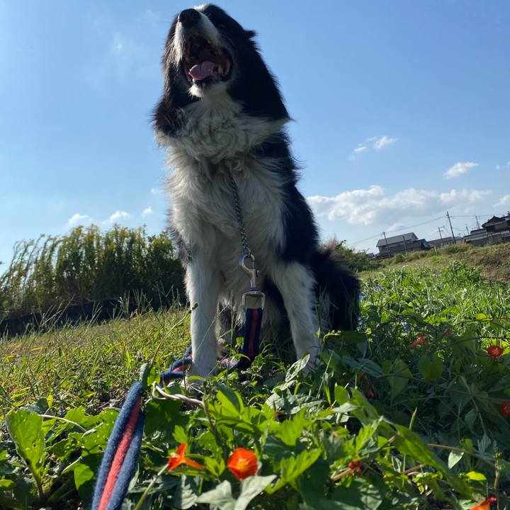 0dbbbd09 0ea7 41f1 b637 6fb862062d5e 1602637629523