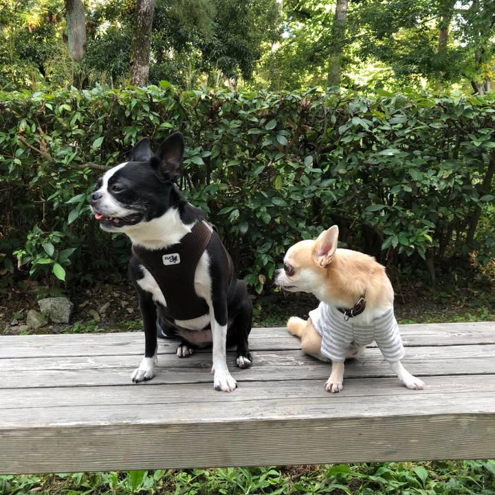 0dbc1970 2f8c 482a a9ae aa8182b0b4ce 1636080588229