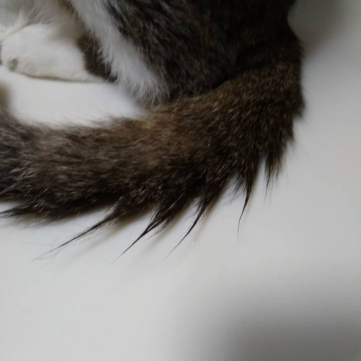 0dbc22c6 d861 4ebc b79e c83782f1863d 1566661236107