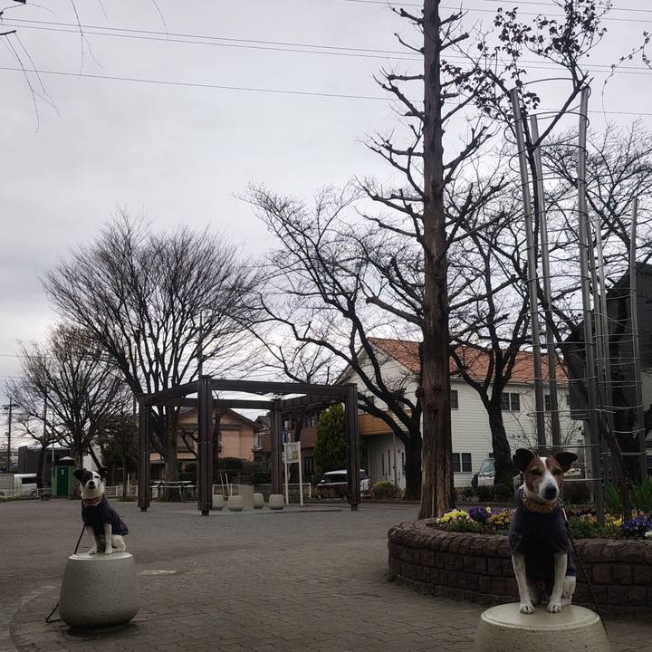 0dbc3530 5300 4015 bc9d c9c5bf12bf32 1773961291655