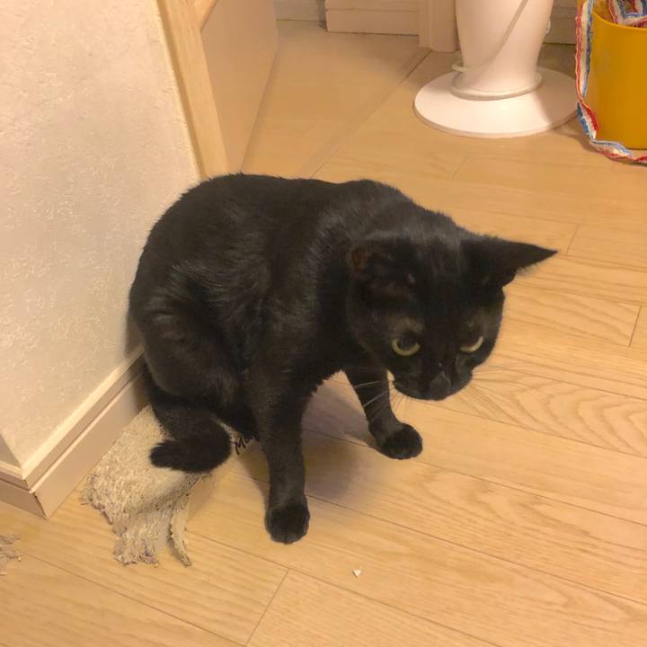 0dbc4312 c593 4f5e 9f71 e99255f33855 1570364390930