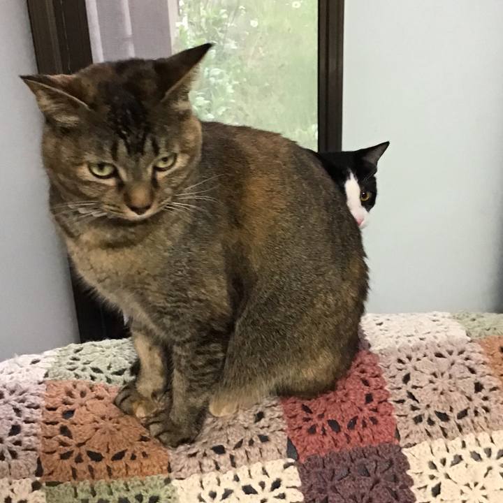 0dbc49f0 d132 41c5 887e 03d2ba33bc81 1650275067829