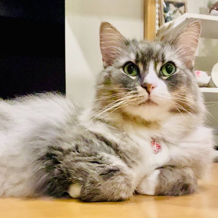 0dbc5802 e08e 466a a9ba 084ab10560f8 1751558007291