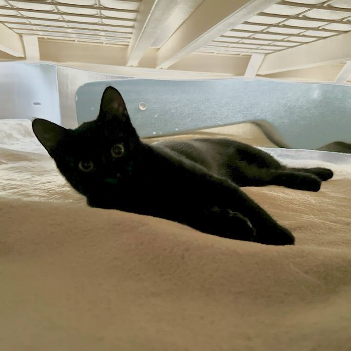 0dbc914f 1cab 48fe 98a2 2b01e352315f 1724889092704