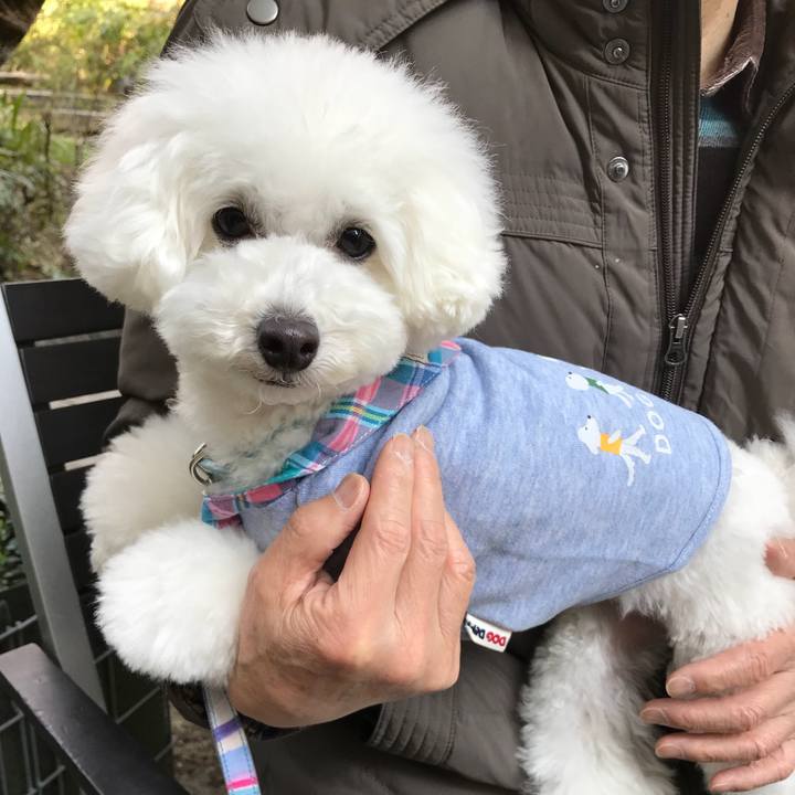 0dbc9d95 f8ee 4ffa b298 88800597743c 1523159492379