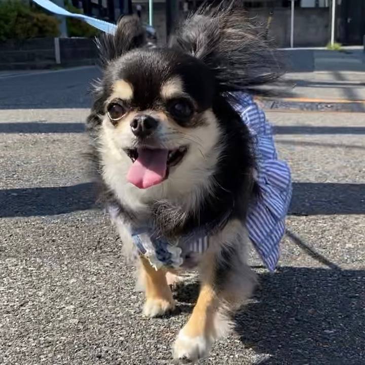 0dbce837 4ef2 4679 b0eb 77b9d22293b2 1653697310615