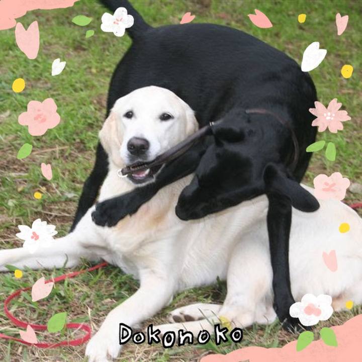 0dbcfa4b 3351 4f45 ab11 8c9a76e11a91 1711241334081