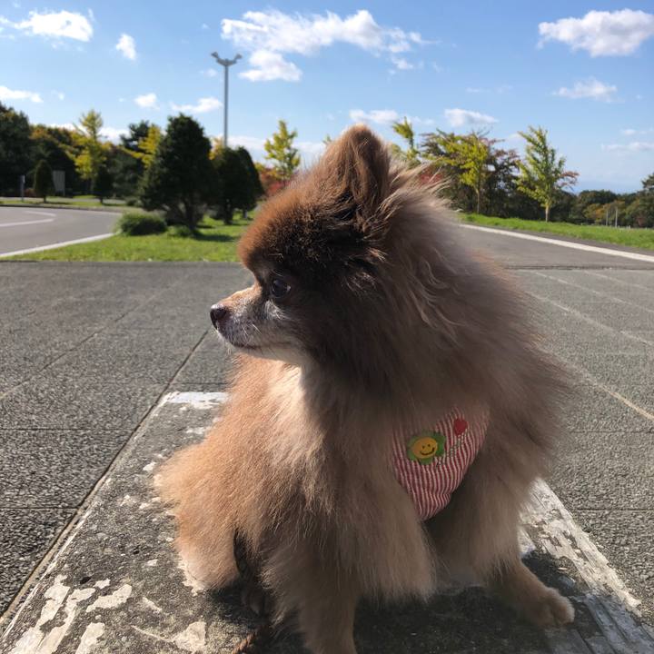 0dbd03d3 424d 4fc5 ad0c 5c351007d5da 1635045841023