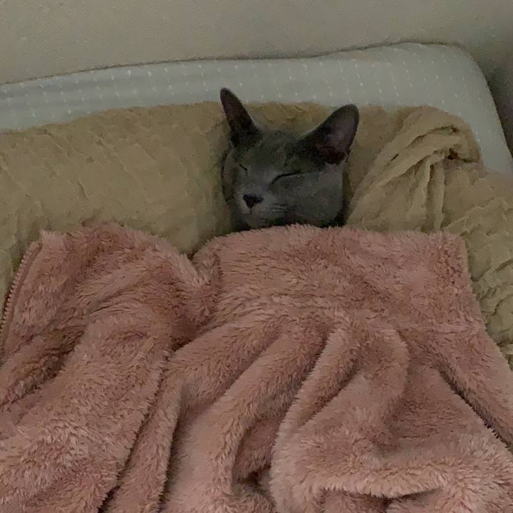 0dbd66c2 db91 418f 9b8a b3c49194d7ab 1574575909983