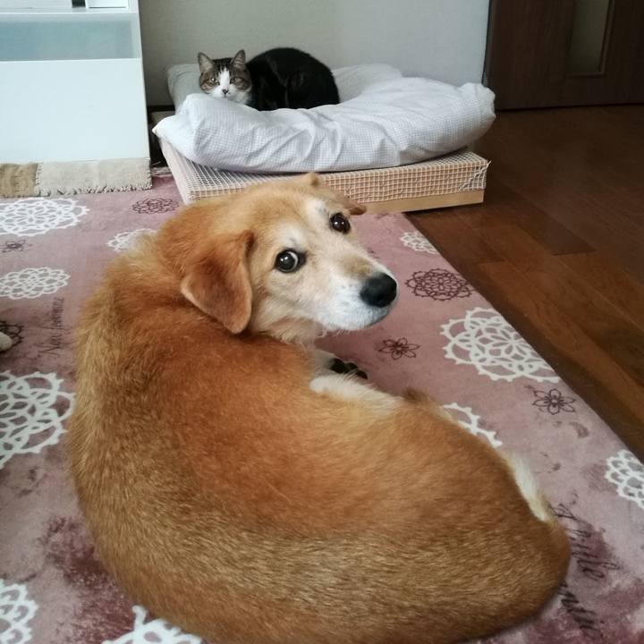 0dbd689e 76fb 4b34 b5ce 47053253ef04 1524642642877