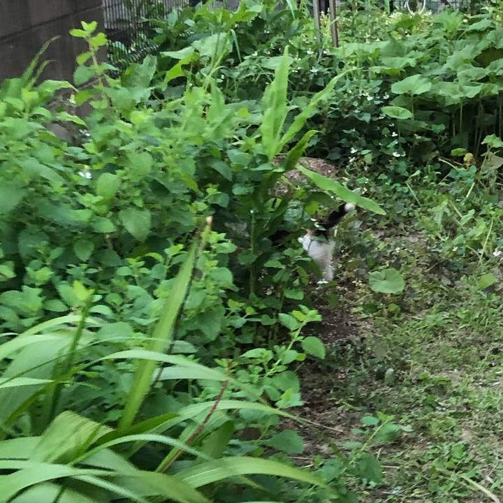 0dbd757e c945 46d3 984d a7b21791dc0f 1622542097007