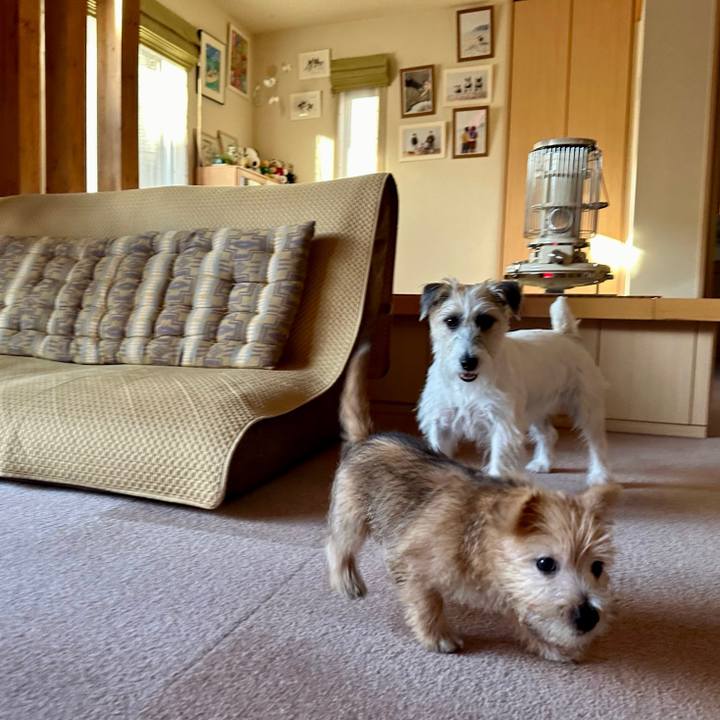 0dbda304 75c0 49ff a41f 2e643f5084c1 1701307193585