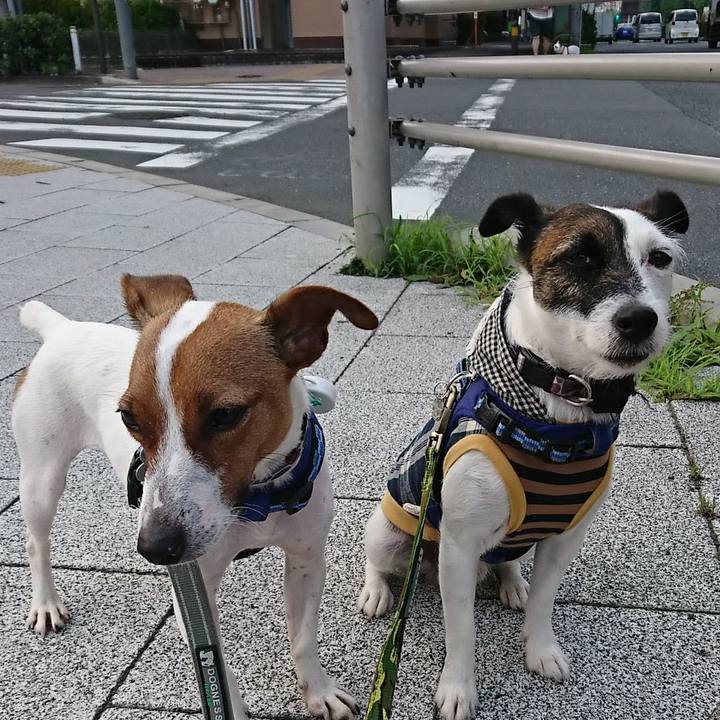 0dbdbb3a dac8 4a55 8089 ecc3dda8f4bc 1531606696147