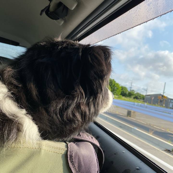 0dbdd2cd f5b0 4e48 9523 6a9e8fd5f257 1654553512432