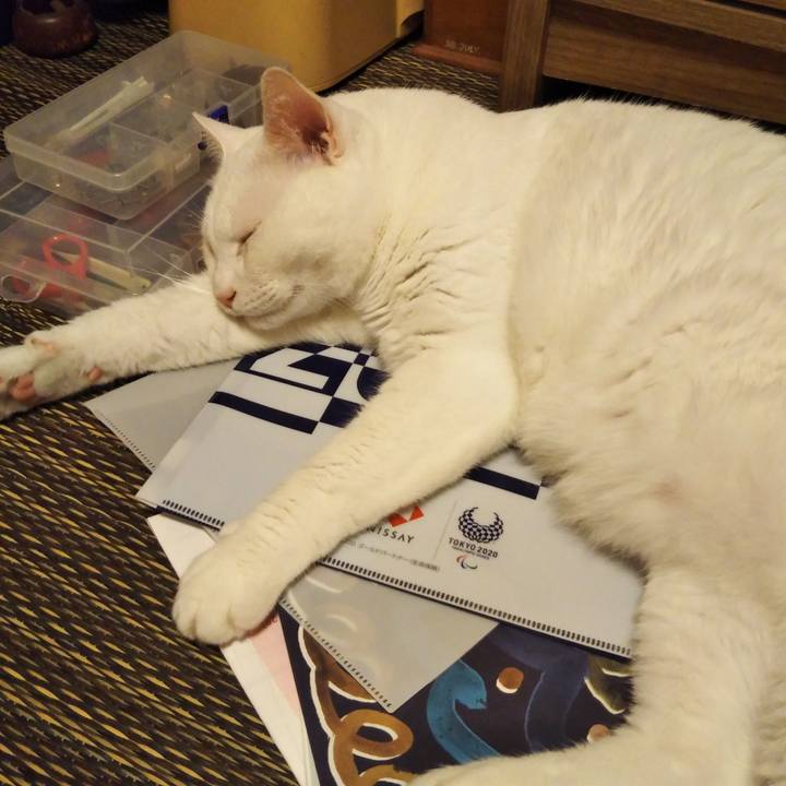 0dbdd633 1a96 41ba 9811 7565e42aa6a4 1566566053496