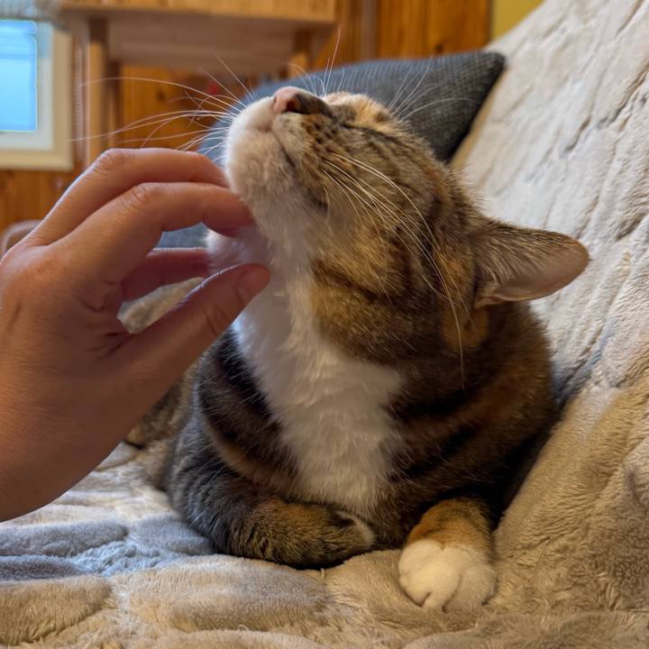 0dbdd83e f3bd 4ba6 9d2b 783996f27ed1 1765754411330