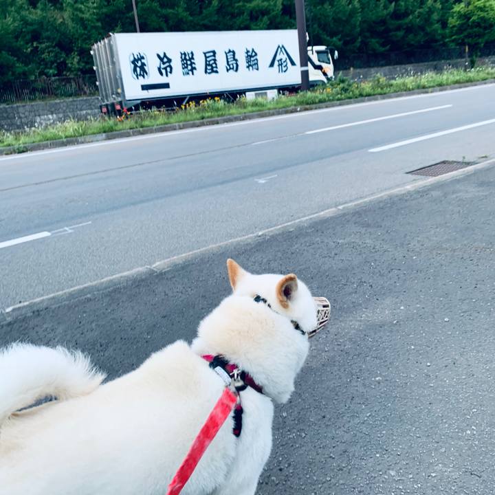 0dbde56a 6b7e 4dfb be55 f183edacac3c 1598389065997