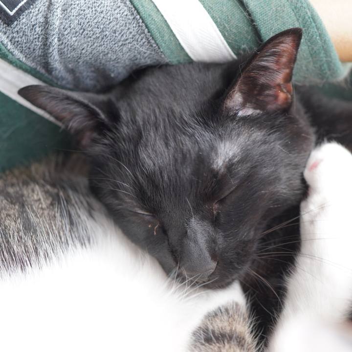 0dbe054e 7d46 477b 8cf8 8d993bbf7a54 1586354403840