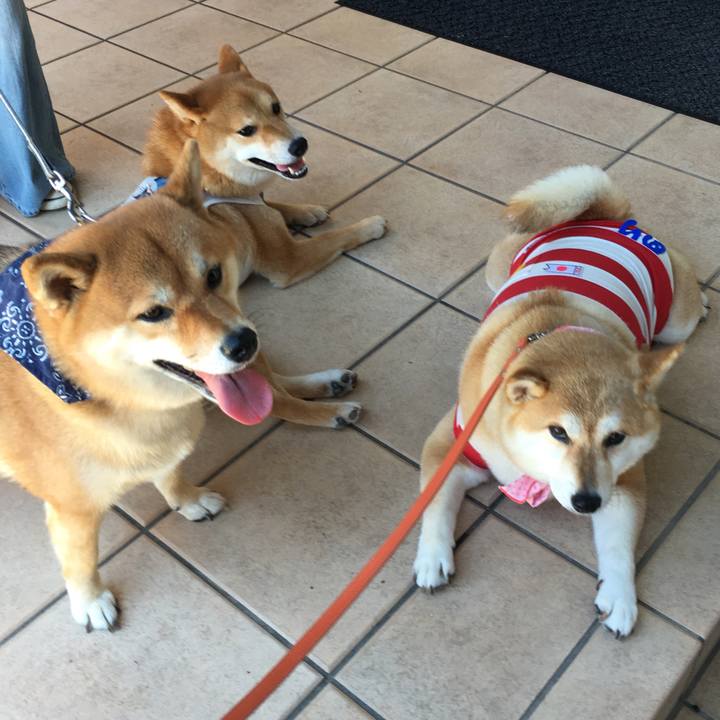 0dbe08e4 244f 44b2 8b57 b5aa62c9455f 1560675844652