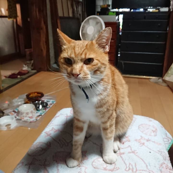 0dbe795a f1e5 49e8 807d 409f9b0c9d96 1597955096811