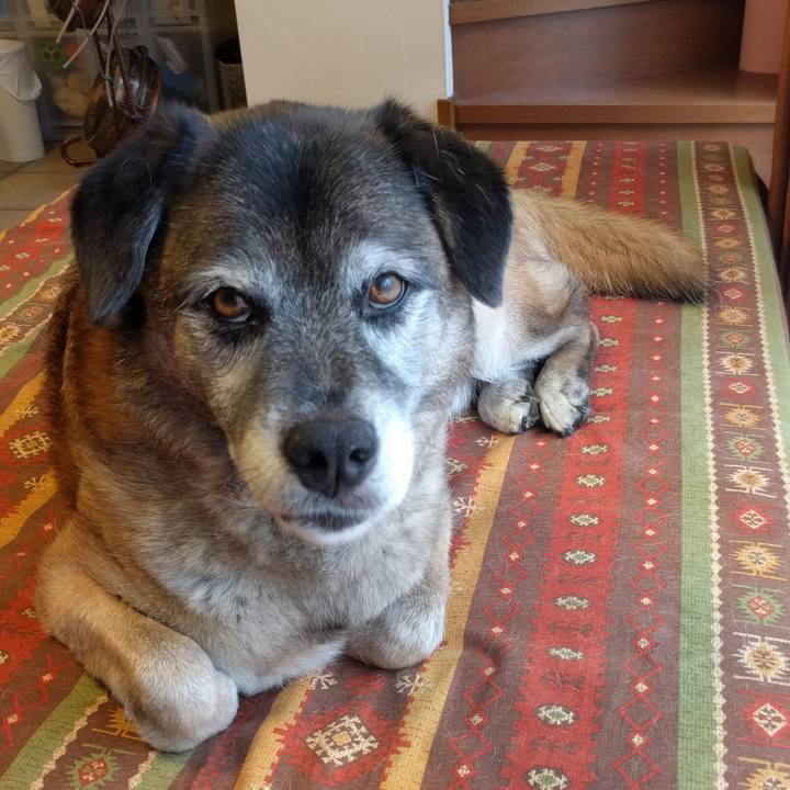 0dbf0605 3a2e 473e b4bb e1c3eba18f5a 1529111926487