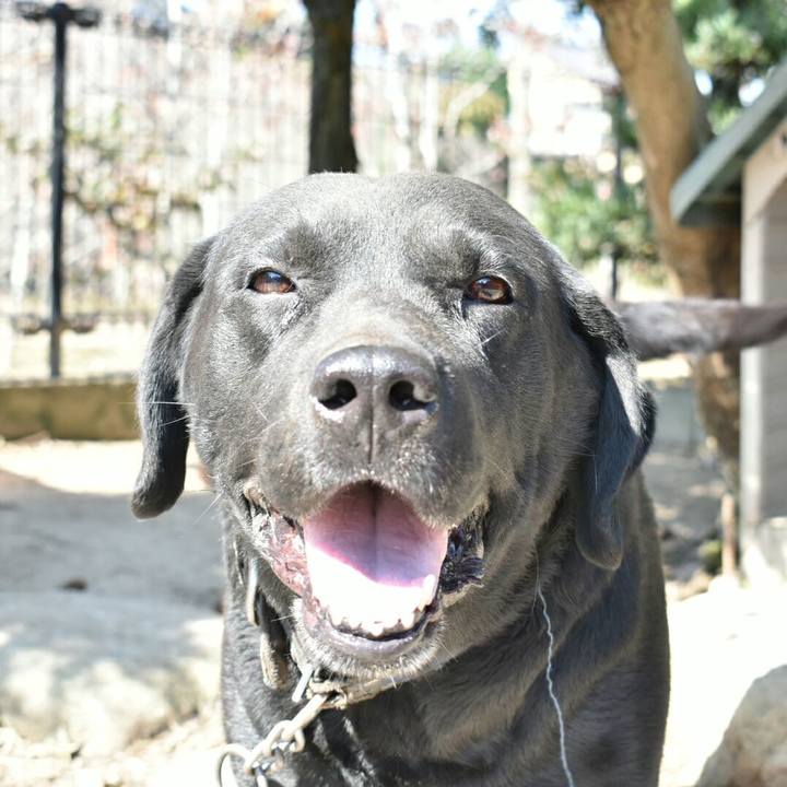 0dbf3d2b e94c 4c92 b9c9 1ccf6cba42ab 1509076182726