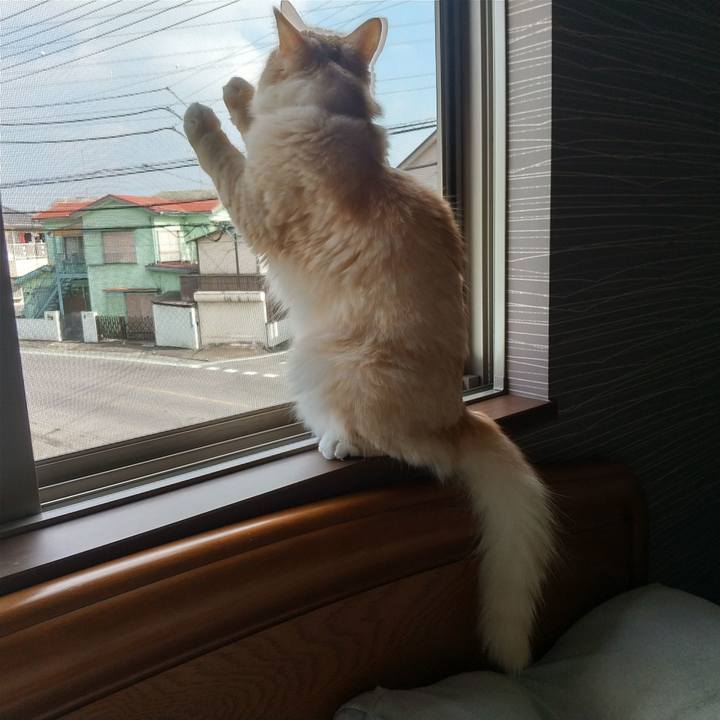 0dbf428d 9b34 476a bac4 b298e79f0869 1634293804429