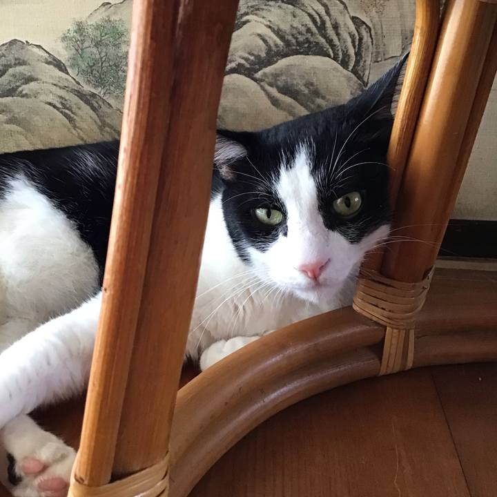 0dbf8d98 f53e 4242 98aa 8ec78ec17833 1757411500378