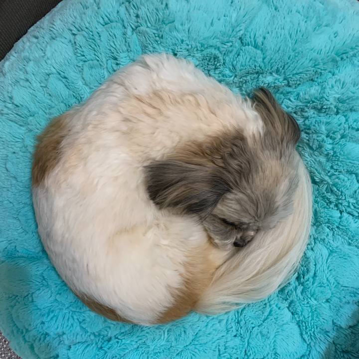 0dbf9c52 924a 4668 a484 2b78d0482d0f 1587337362759