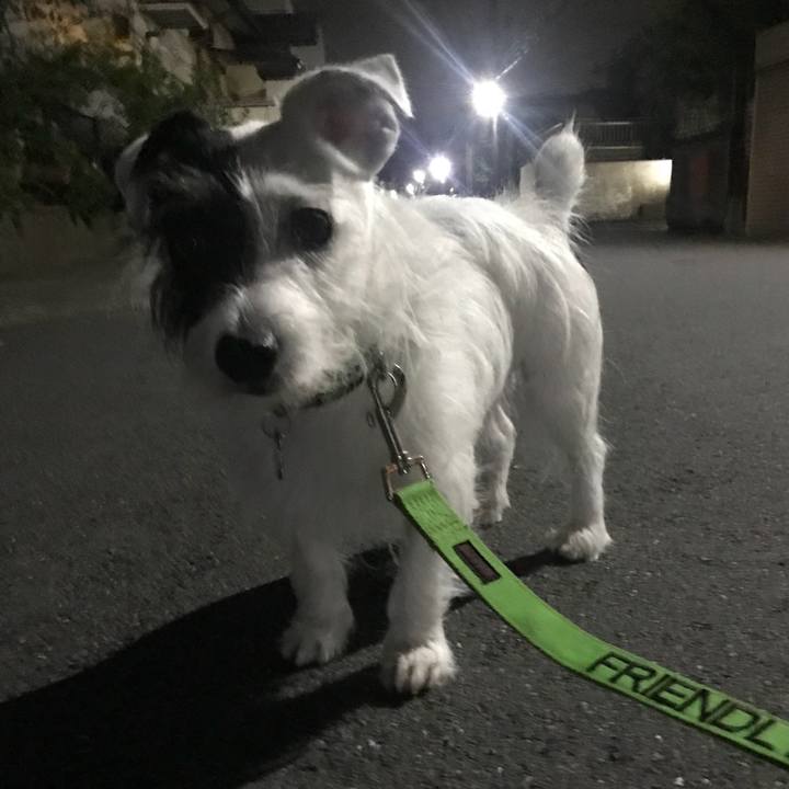 0dbfbeca ff6d 42e8 8c38 ea3586c7dba1 1534768034106