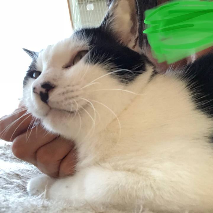 0dbfc700 053c 4fa7 a524 bd6016c3da00 1546334525251