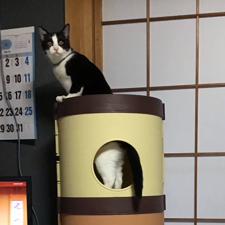 0dbfc947 3e0e 48c6 bc9e 159b4dc5de8b 1638311831605