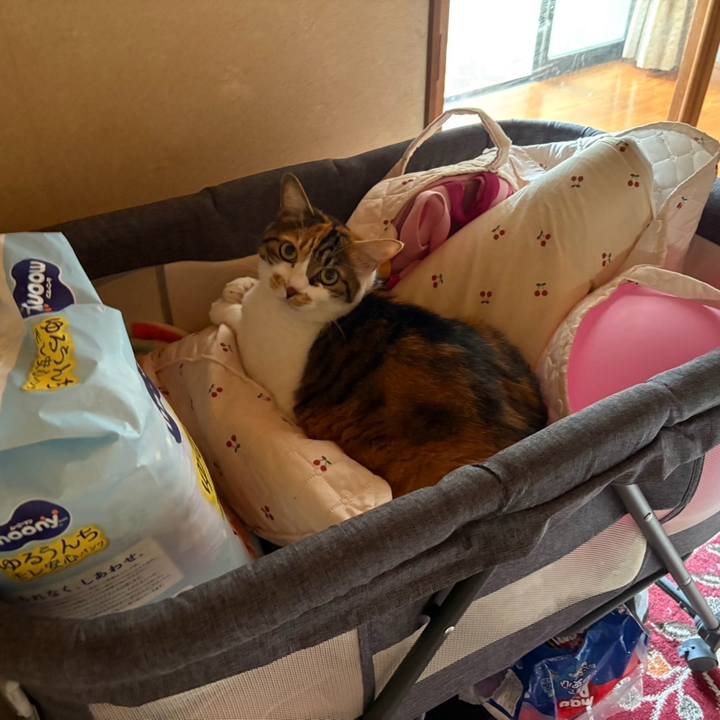 0dbffae7 d44c 412d 9b68 3f23aac9bb33 1752292875041