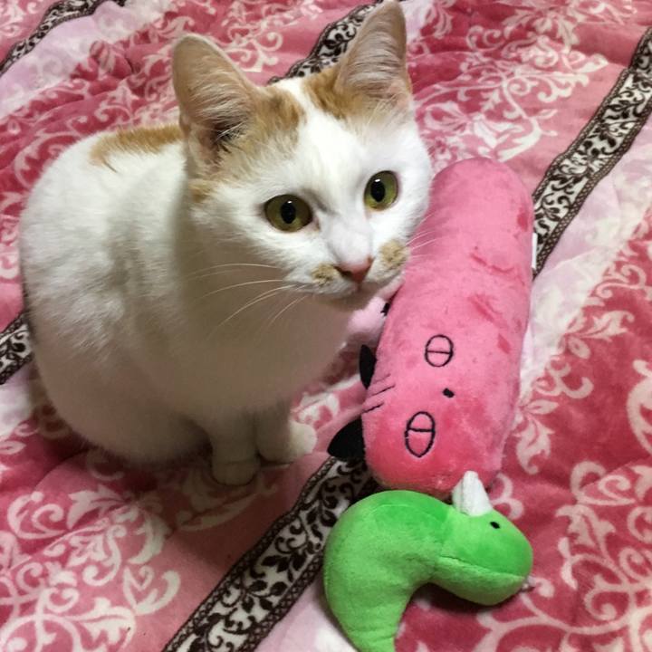 0dc01247 77e0 4144 a53e a8c785dfbef1 1547376297883