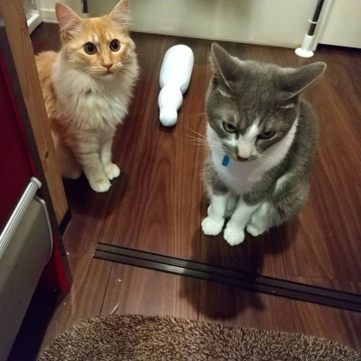 0dc03a10 2d2c 4120 94bc 7d5e83cf5c8c 1622888302484