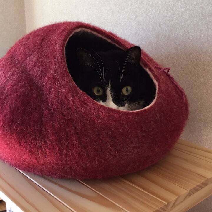 0dc077bf 82a7 4959 98d3 3971f55bf8d7 1514299758583