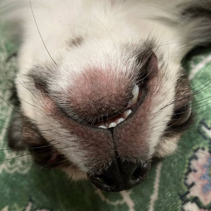 0dc07ca3 2c66 4b61 b8d4 daedbe48c433 1655559236414