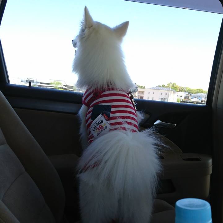 0dc08495 ec19 468e a7ba eb5b6fd74694 1556329539072