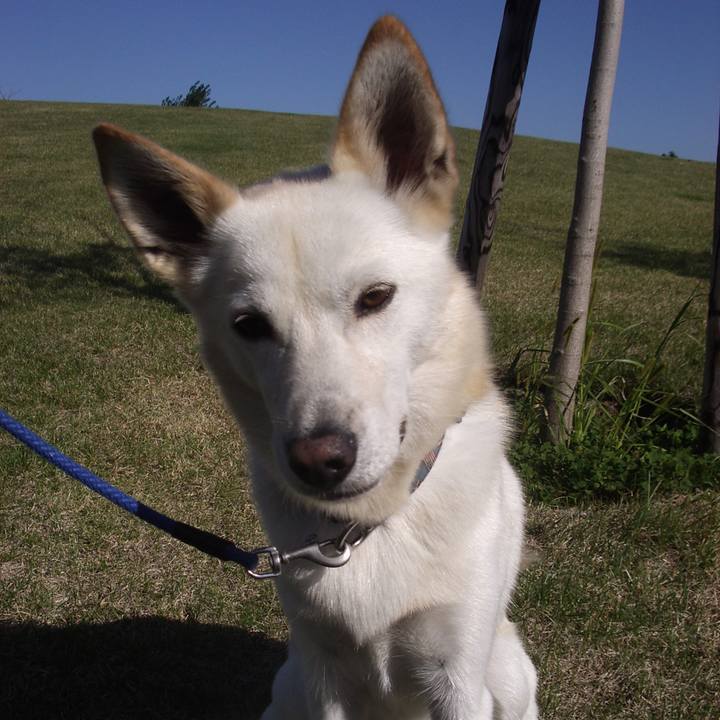 0dc099e7 2be0 40ef 80a4 e1b79e88085d 1537794501276