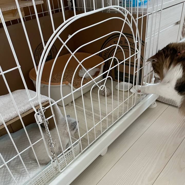 0dc09a0d 7708 45b5 93ac 9134d0d6ca91 1684660376496