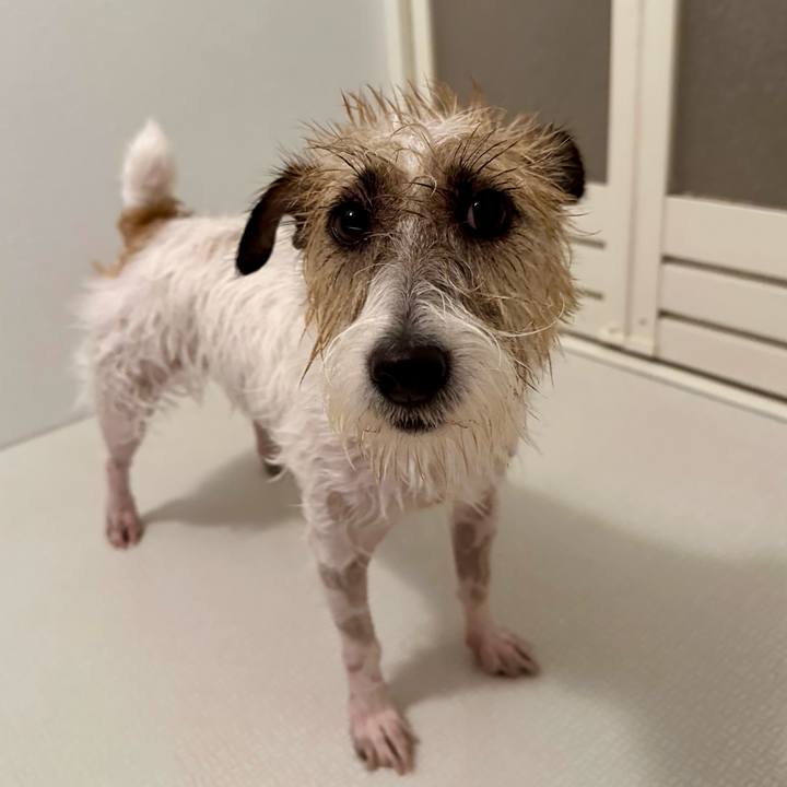 0dc0a2cc de1b 4764 bfc4 f88f0773a0af 1722781657341