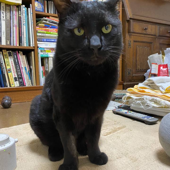 0dc0dee9 15ce 4349 9a1e 57d2d05e5f0a 1617720194773