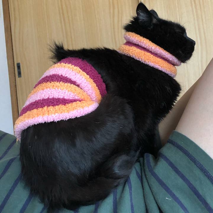 0dc11903 2198 437f 98f1 e727f7bc52a8 1588718191577