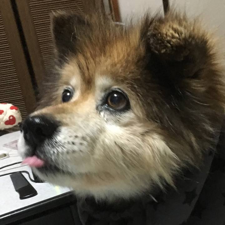 0dc12346 0bf1 475c 86dd d3eb7cbce36c 1605232379627