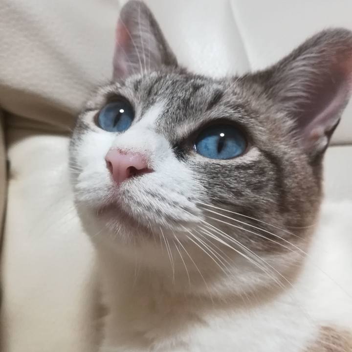 0dc12b24 fa2f 4c2e b9d3 58077f2c623e 1594813447607