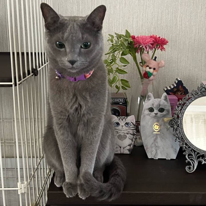 0dc169f1 677d 45e1 9828 4b4a8b21c13f 1757024561787