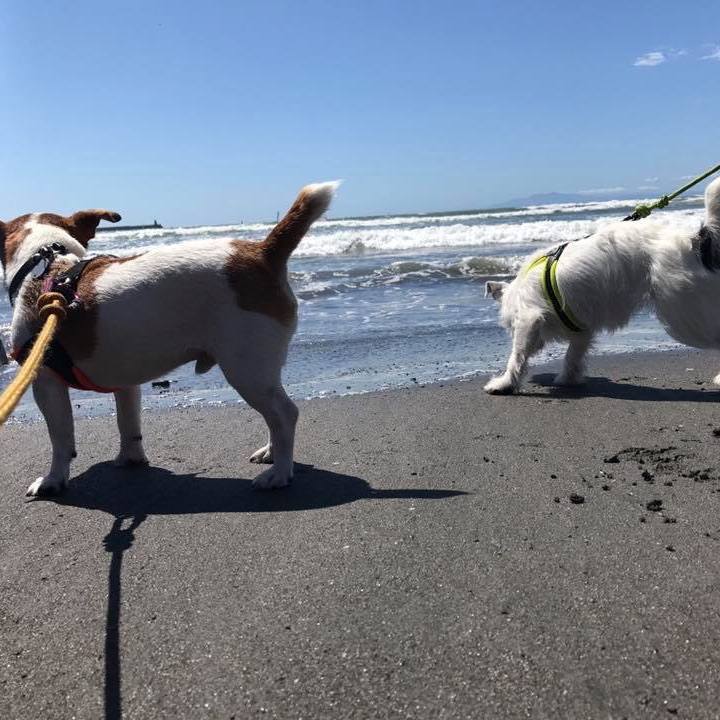 0dc19f23 93cf 46b7 a48f 4e1cc021fe1d 1568732740197