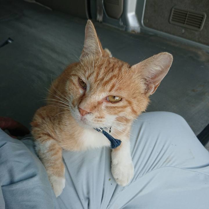 0dc1a35f 7e3c 4cb2 bfbc a9778bf4dcb9 1559813836462